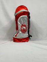 Delta Sigma Theta Backpack