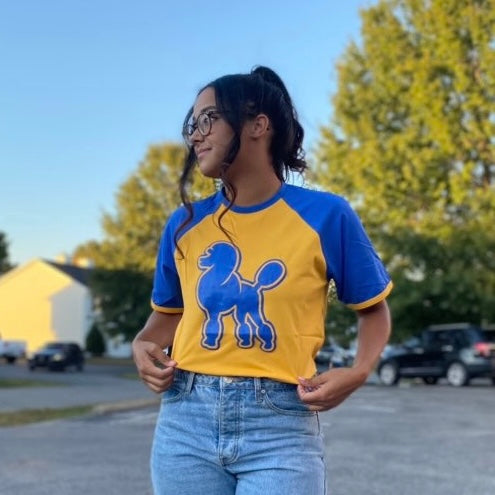 Poodle Premium Raglan Shirt