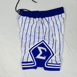 Sigma Pinstripe Heavy Mesh Basketball Shorts
