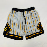 Alpha Grey Pinstripe Heavy Mesh Basketball Shorts