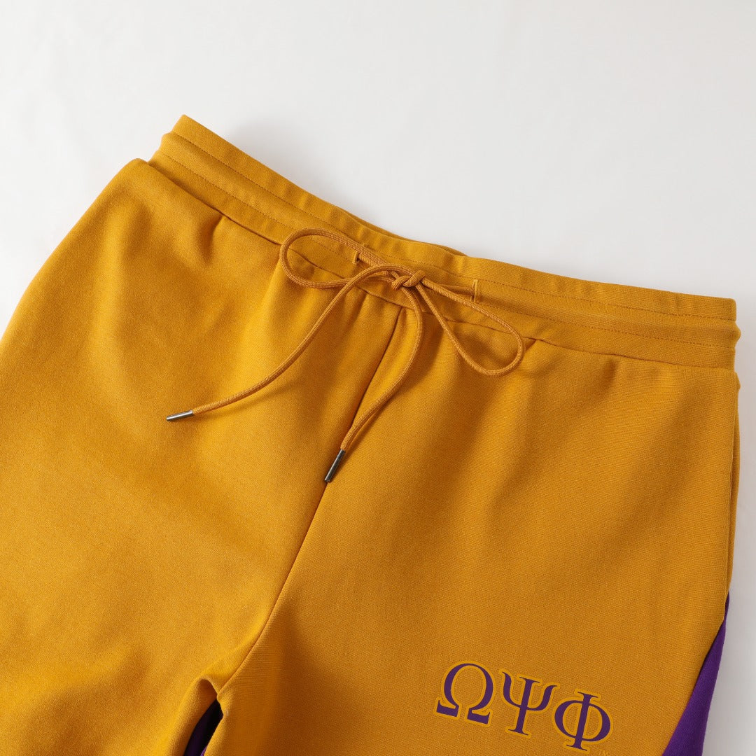 Omega Tech Fleece Shorts