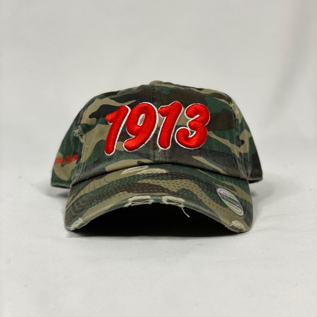 Delta Sigma Theta 1913 Camo Hat – The King McNeal Collection