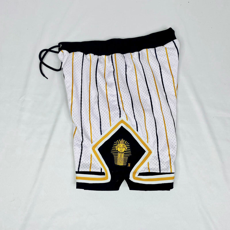 Alpha Pinstripe Heavy Mesh Basketball Shorts