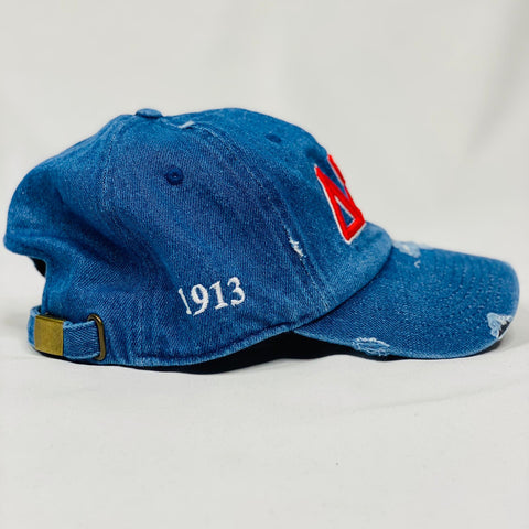 Delta Sigma Theta Denim Hat – The King McNeal Collection