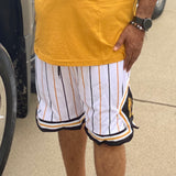 Alpha Pinstripe Heavy Mesh Basketball Shorts