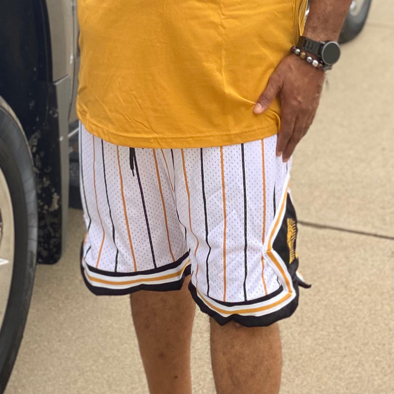 Alpha Pinstripe Heavy Mesh Basketball Shorts