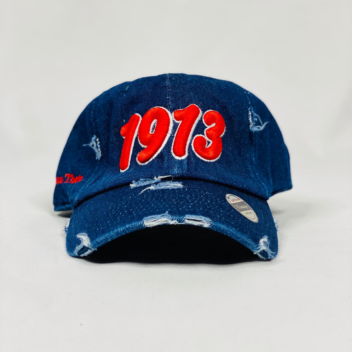 Delta Sigma Theta 1913 Dark Denim Hat
